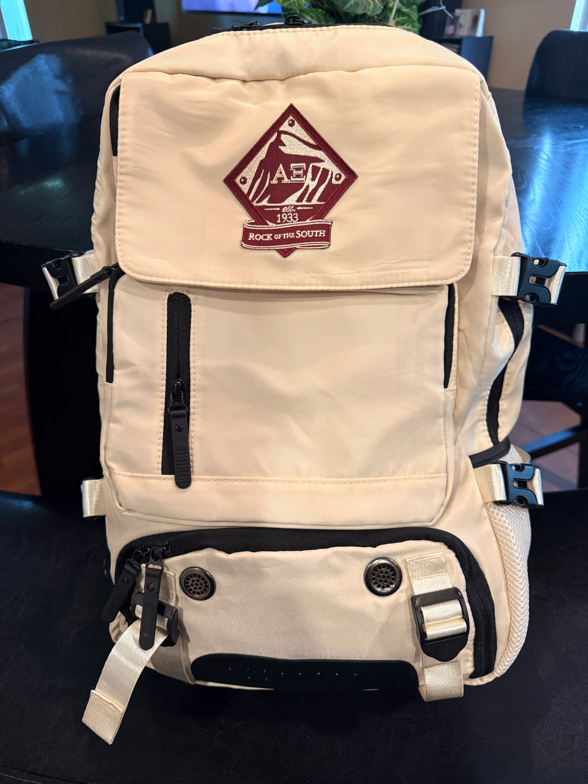 AlphaXi laptop travel bag