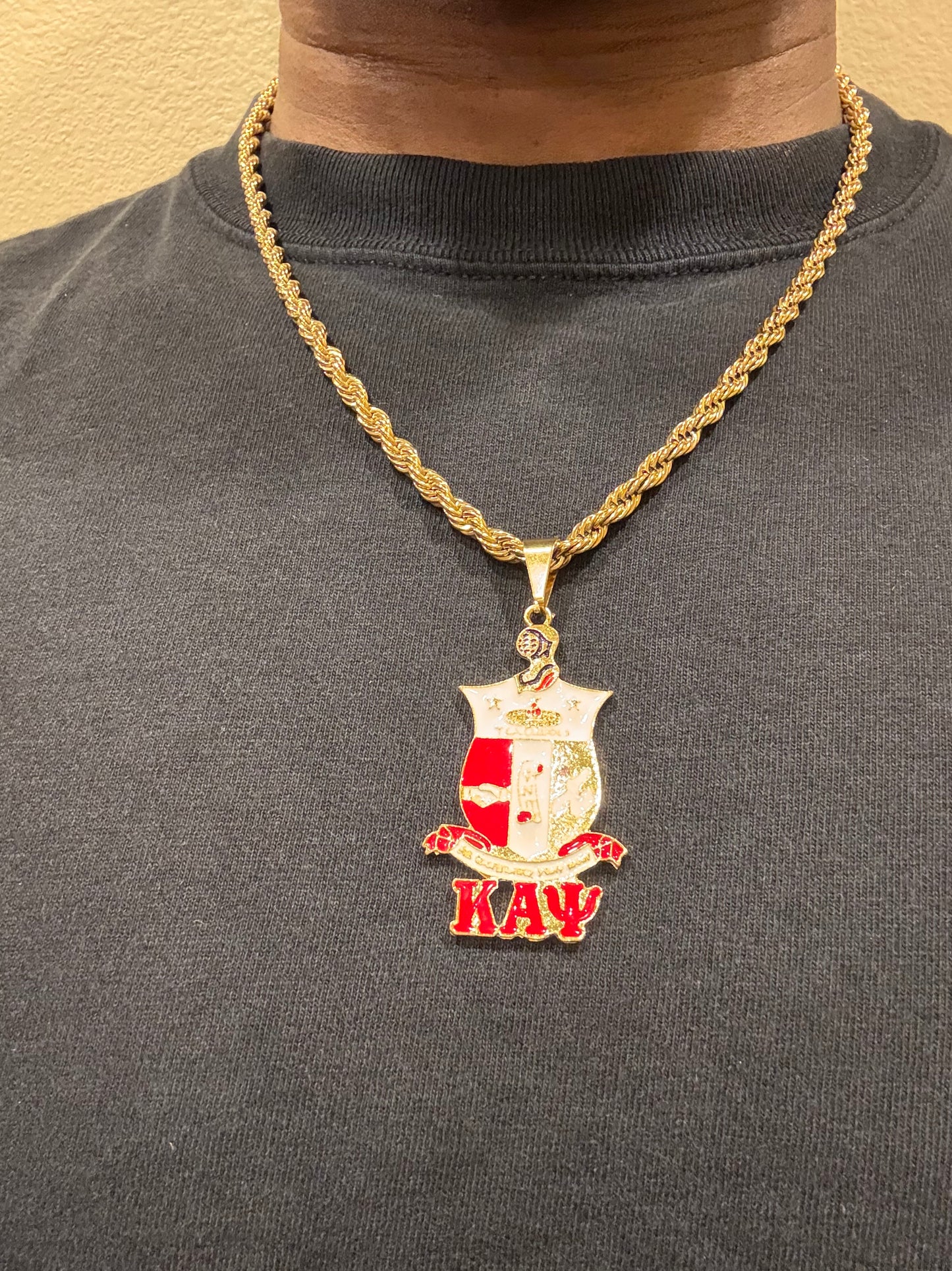 Coat of Arms Red Pendant and chain